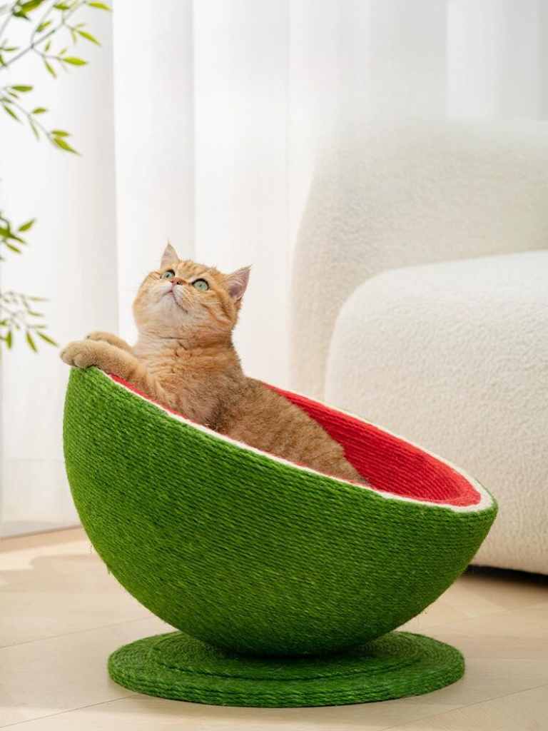 watermelon nail sharpener 