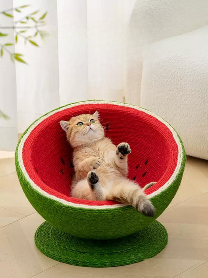 watermelon nail sharpener 