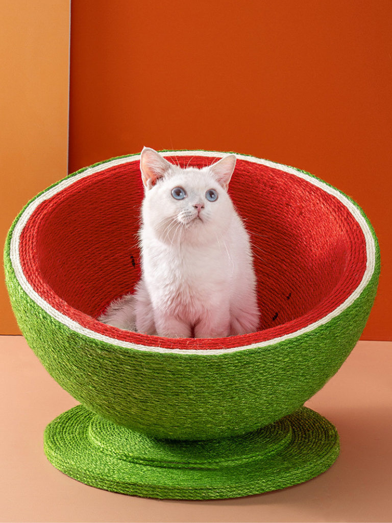 watermelon nail sharpener 