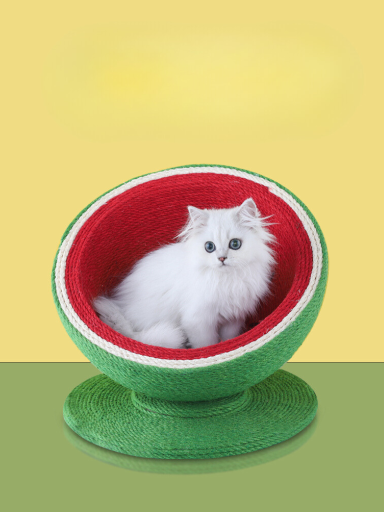 watermelon nail sharpener 