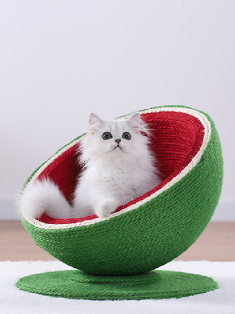 watermelon nail sharpener 