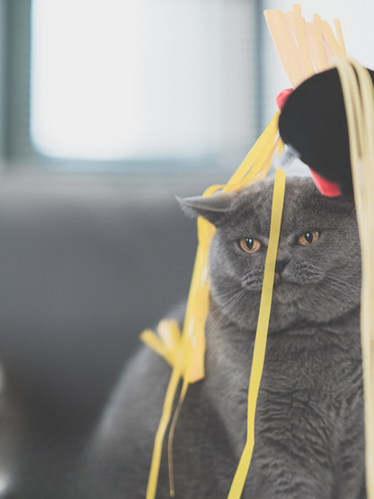 Food Fighter Cat Toy [Motsunabe, Ramen, French Fries]