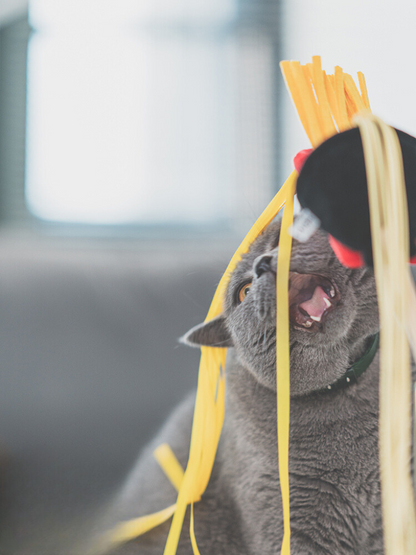 Food Fighter Cat Toy [Motsunabe, Ramen, French Fries]