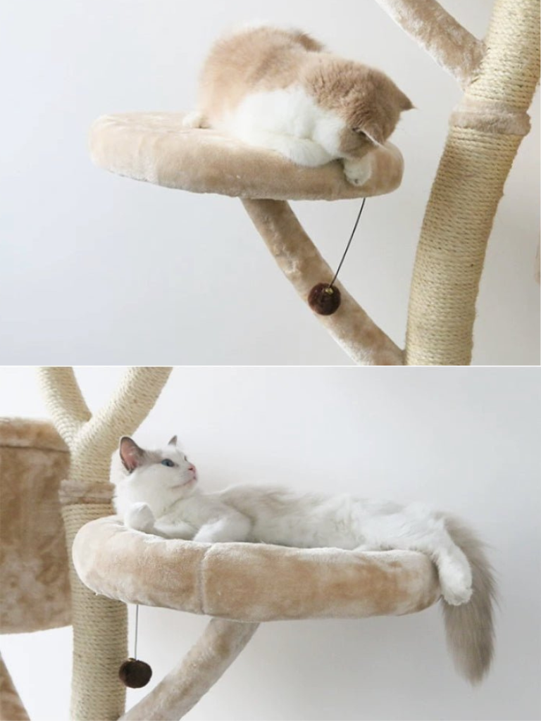 MOFUCAT's most popular products! BIG TREE cat tower 