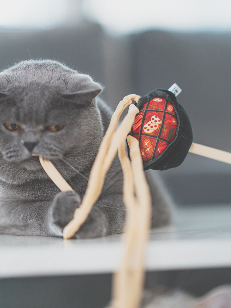 Food Fighter Cat Toy [Motsunabe, Ramen, French Fries]