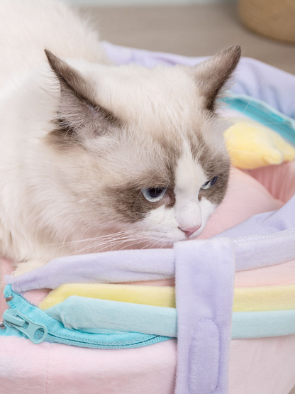 rainbow cat house