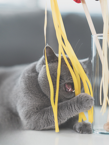 Food Fighter Cat Toy [Motsunabe, Ramen, French Fries]