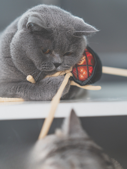 Food Fighter Cat Toy [Motsunabe, Ramen, French Fries]