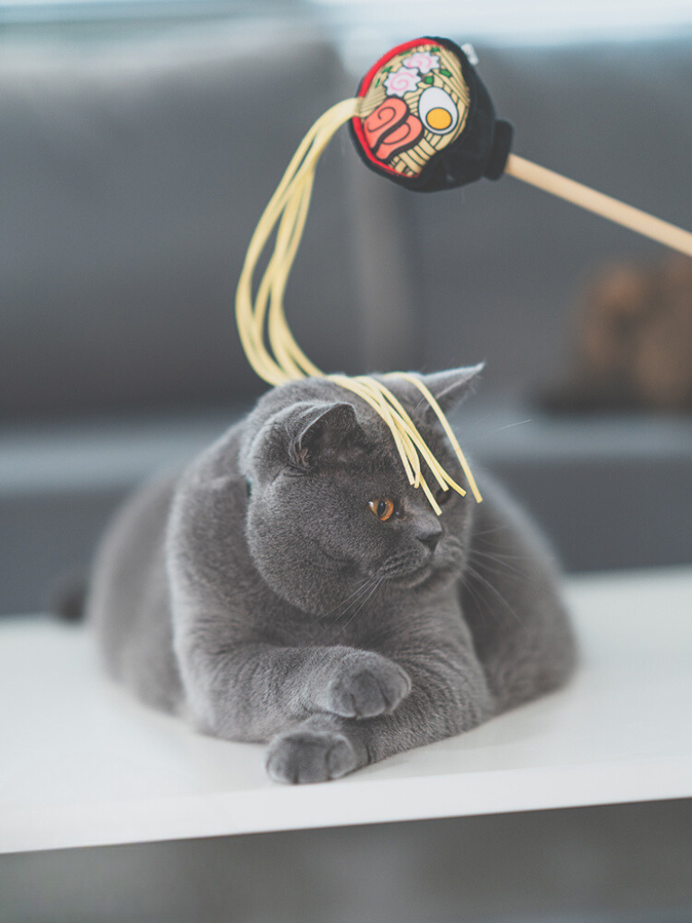 Food Fighter Cat Toy [Motsunabe, Ramen, French Fries]