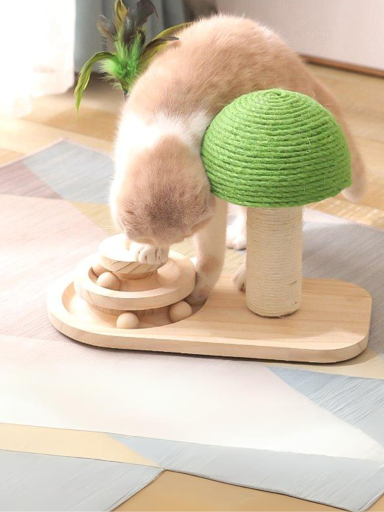 Trackball Cat Toy with Mushroom Scraper 