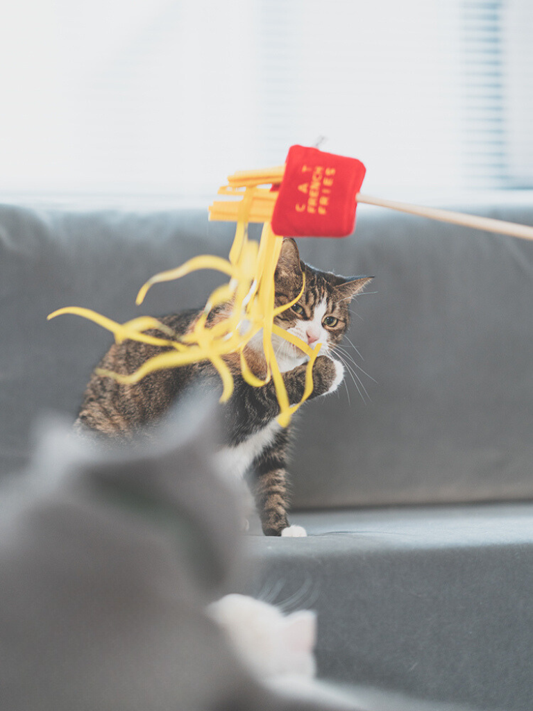 Food Fighter Cat Toy [Motsunabe, Ramen, French Fries]