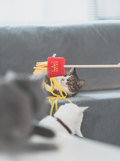 Food Fighter Cat Toy [Motsunabe, Ramen, French Fries]