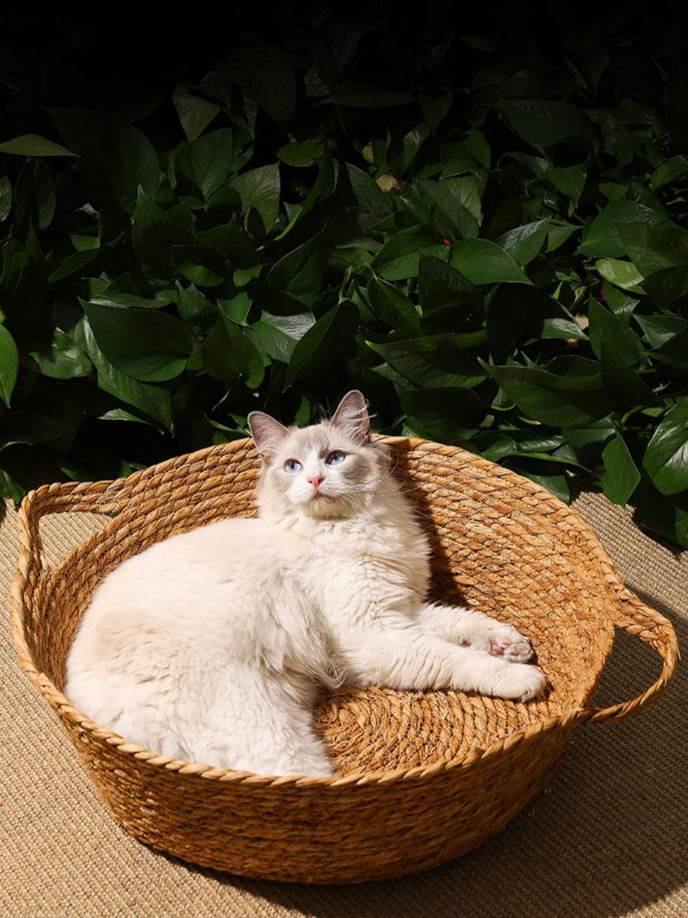 Japanese Pattern Cushion Basket Bed