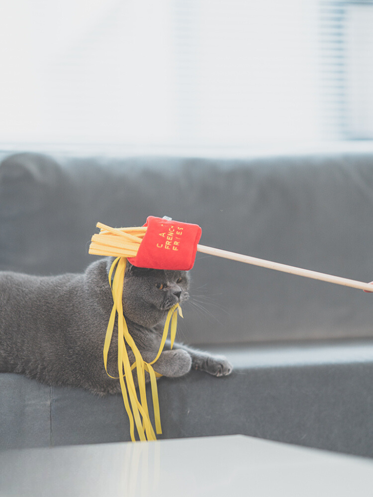 Food Fighter Cat Toy [Motsunabe, Ramen, French Fries]