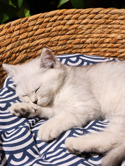 Japanese Pattern Cushion Basket Bed