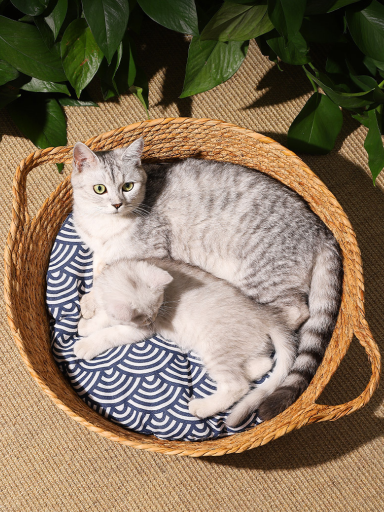 Japanese Pattern Cushion Basket Bed