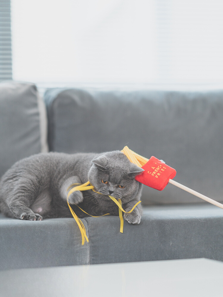 Food Fighter Cat Toy [Motsunabe, Ramen, French Fries]