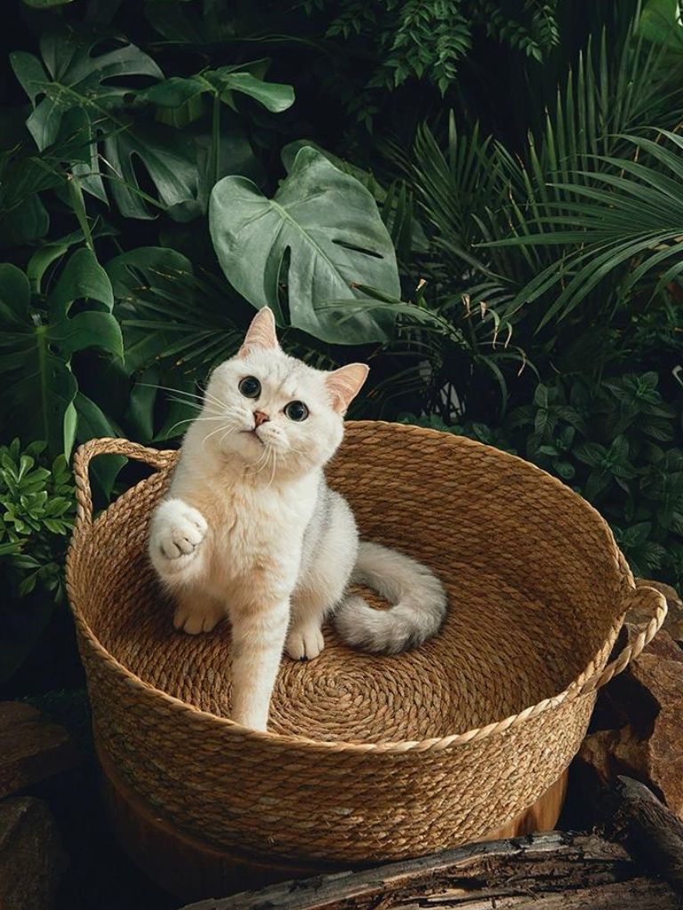 Japanese Pattern Cushion Basket Bed