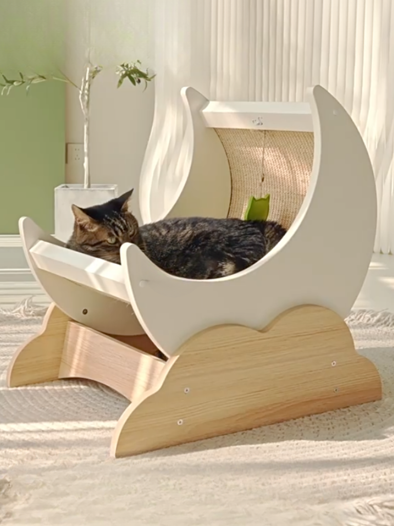 Moon scratching cat bed