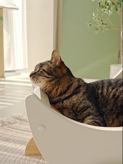 Moon scratching cat bed