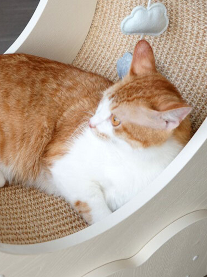 Moon scratching cat bed