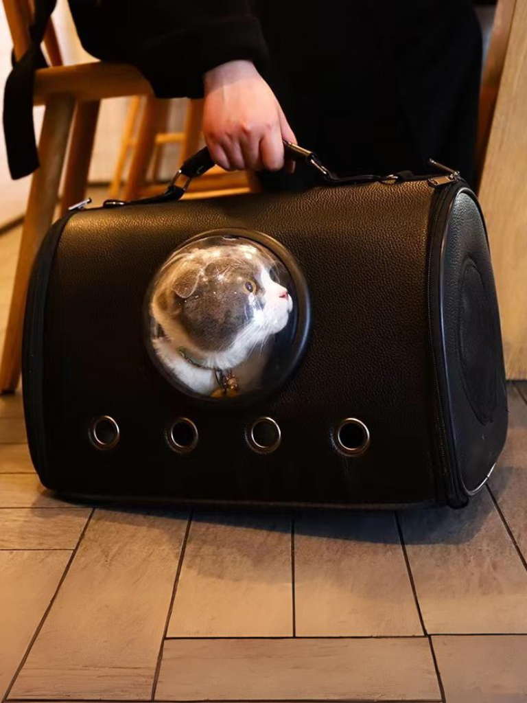 Pet carrier bag with capsule window 