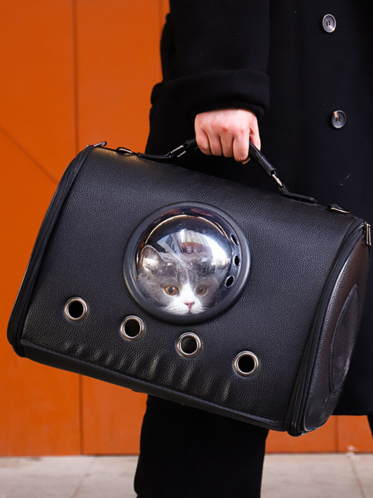 Pet carrier bag with capsule window 