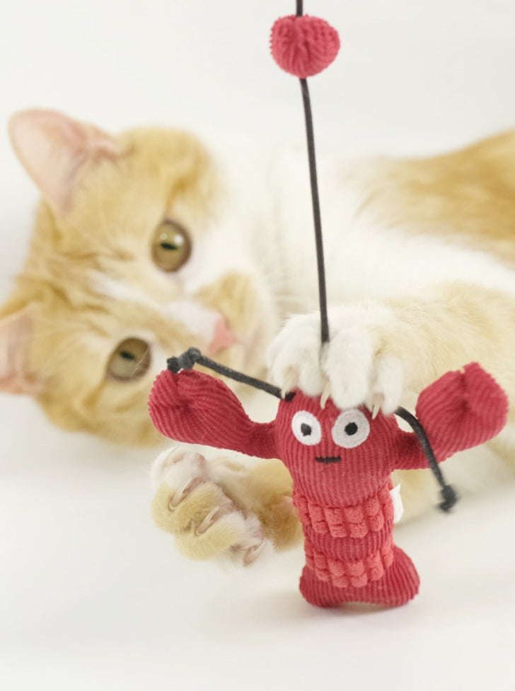 Crayfish cat toy 