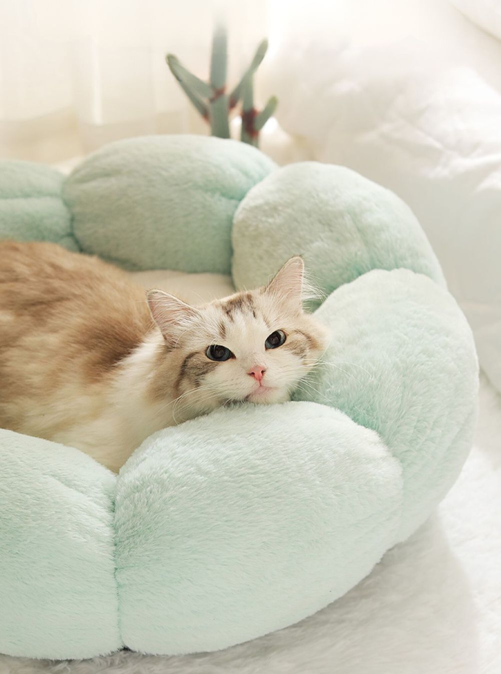 Pastel flower cat bed mofucat MOFUCAT