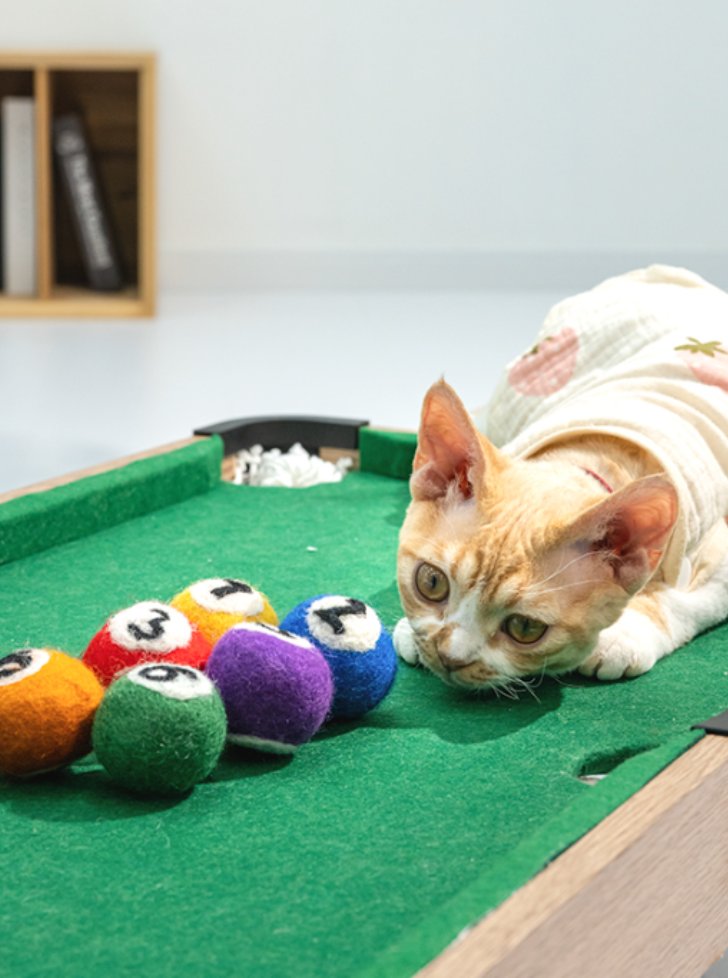 Billiard type cat toy [nail scratching board + cat teaser cue + felt ball]