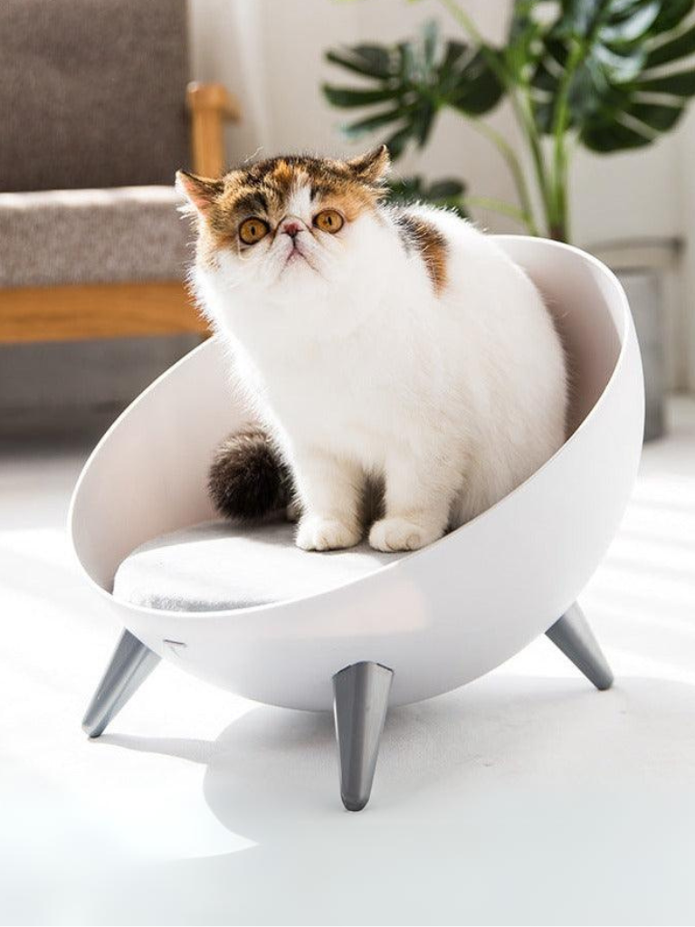 Mini celebrity cat bed MOFUCAT