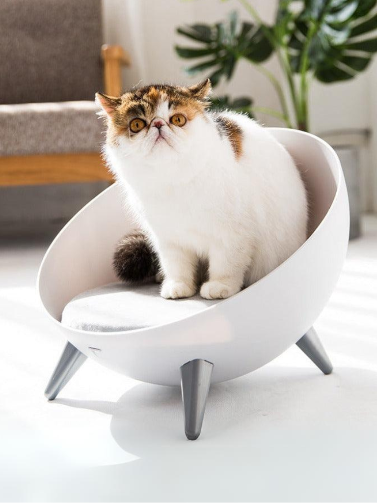 Mini cat bed best sale