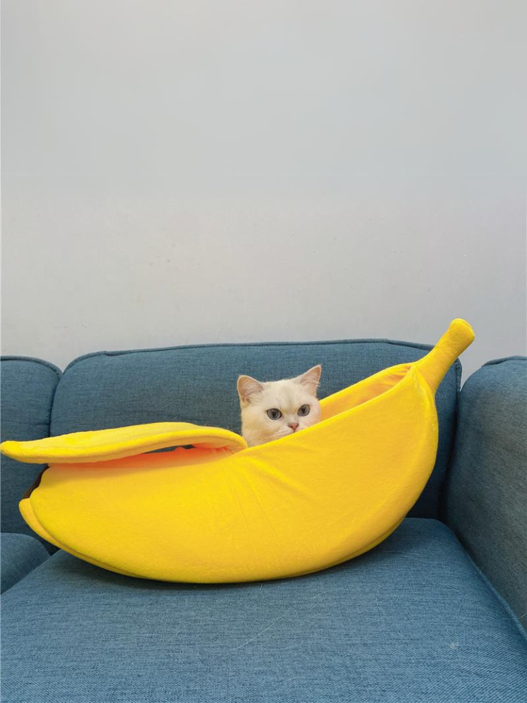 banana cat bed 