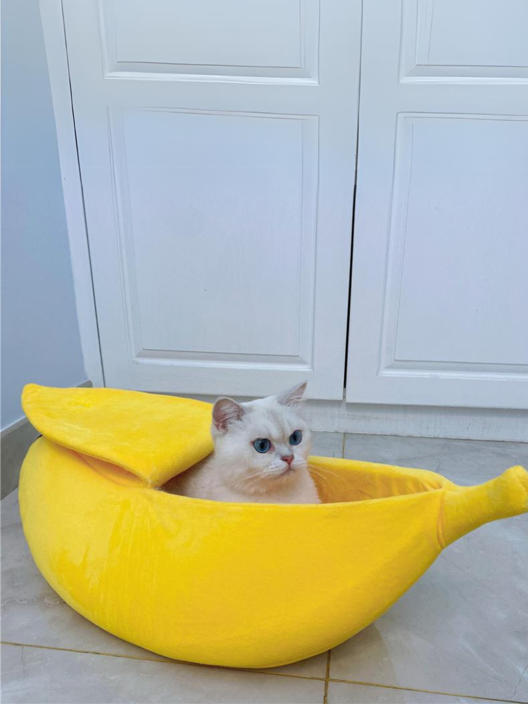 banana cat bed 