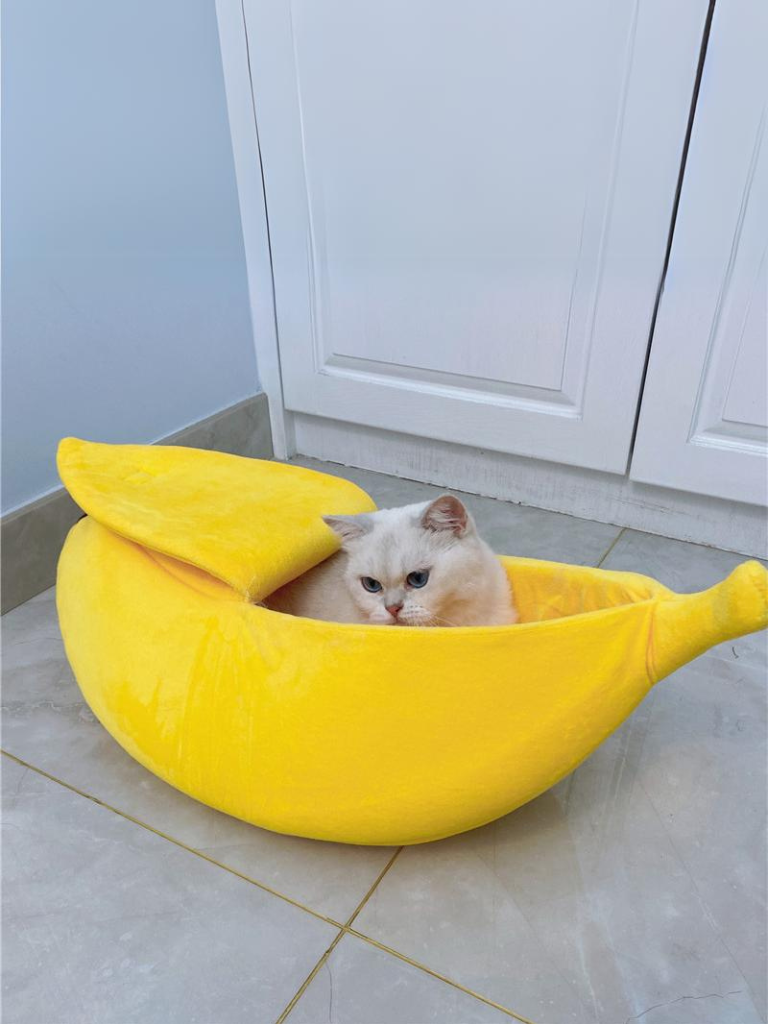 banana cat bed 