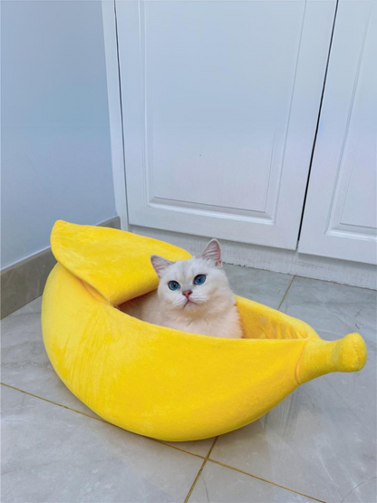 banana cat bed 