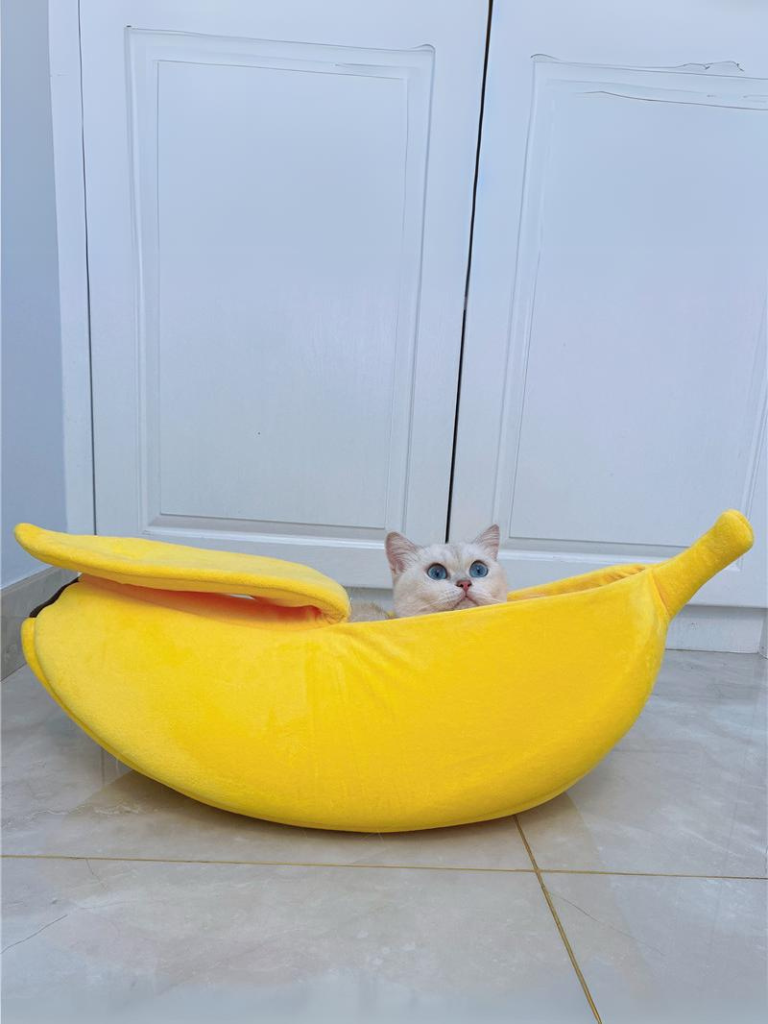 banana cat bed 