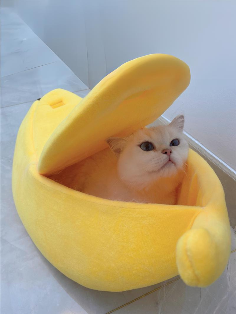 バナナ型猫ベッド - MOFUCAT バナナ型猫ベッド - MOFUCAT