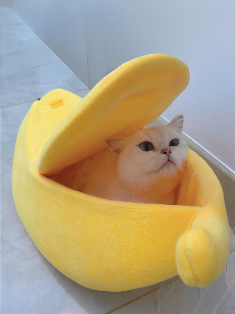 banana cat bed 