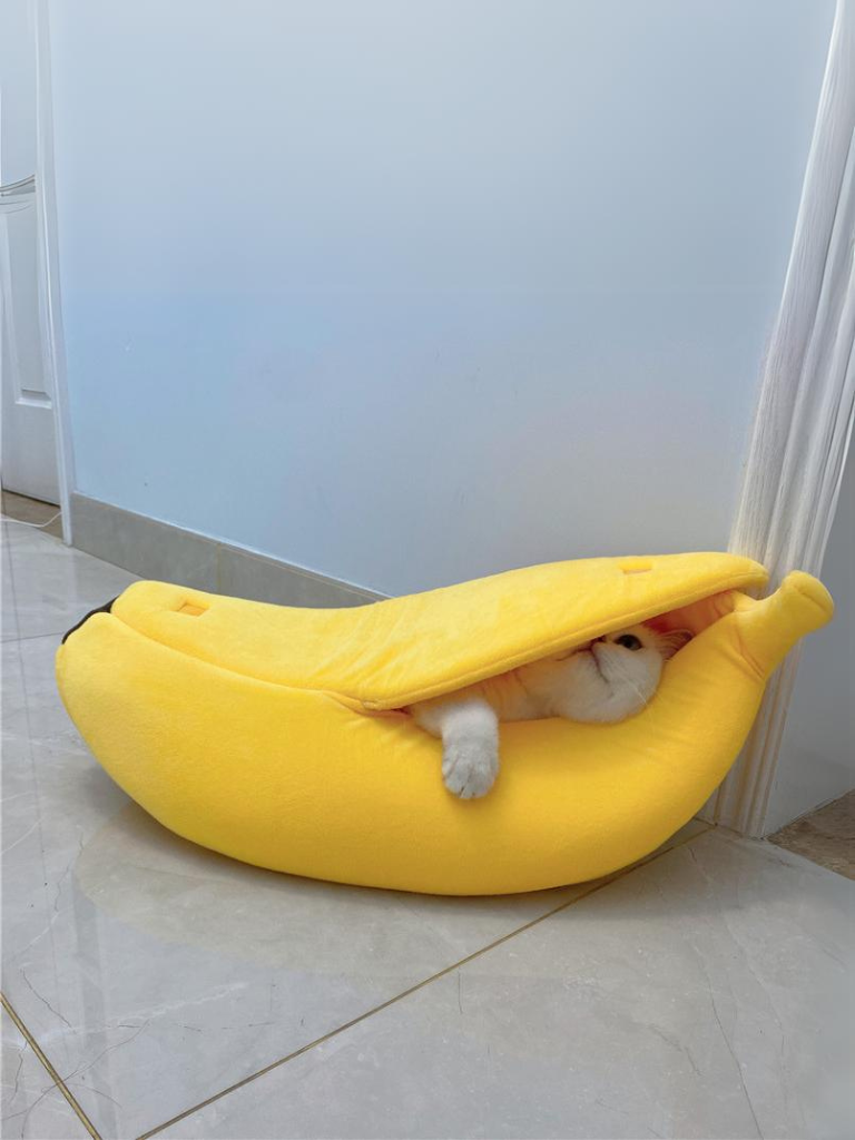 banana cat bed 