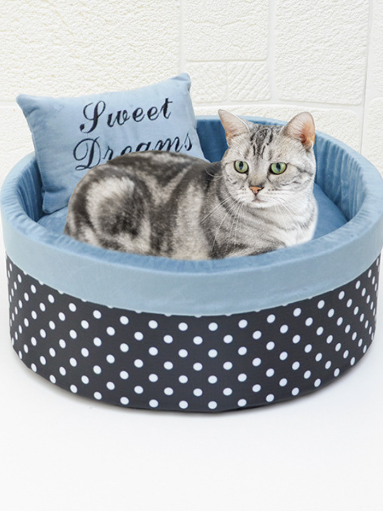 princess cat bed 