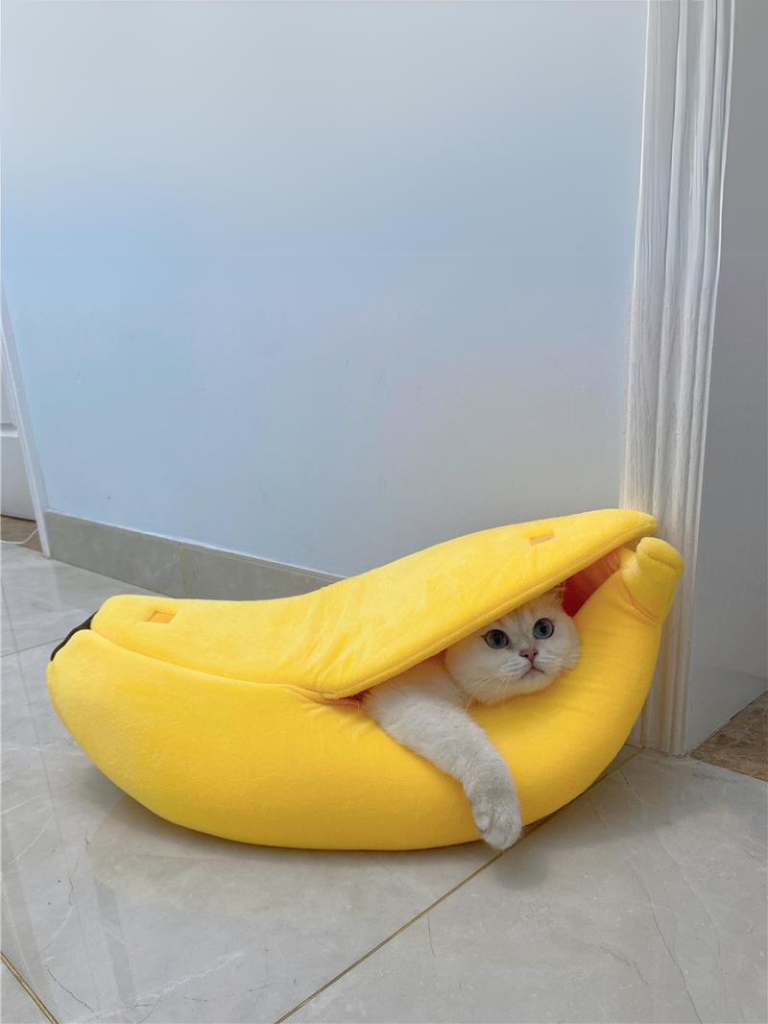 banana cat bed 