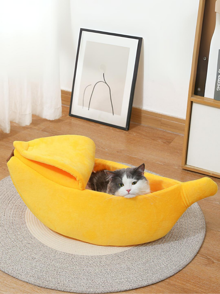 banana cat bed 