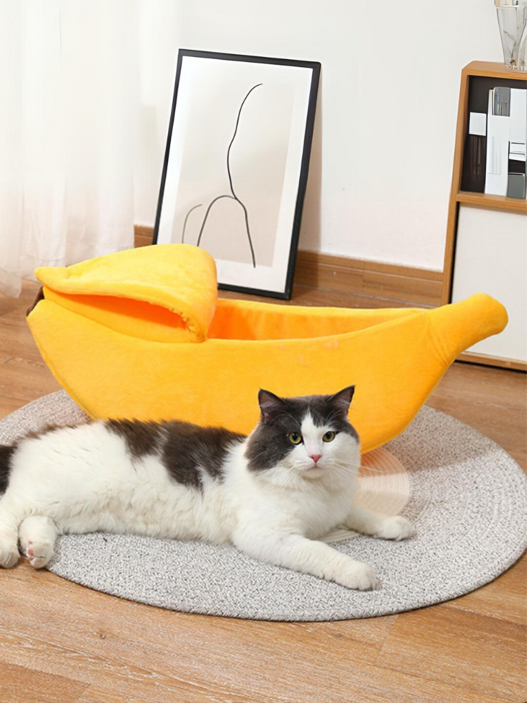 banana cat bed 