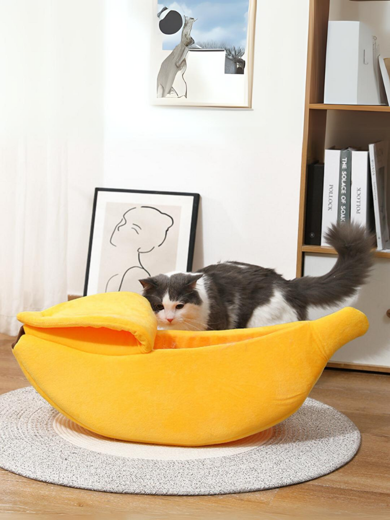 banana cat bed 