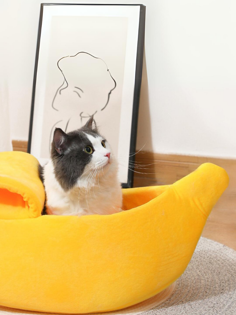 banana cat bed 