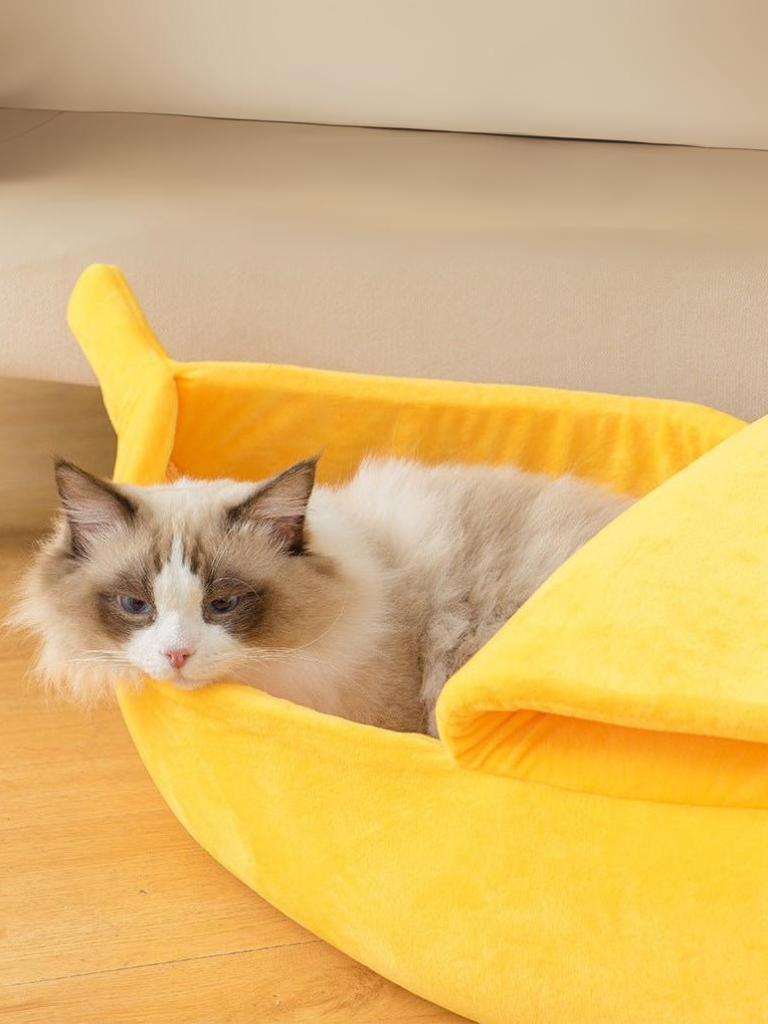 banana cat bed 