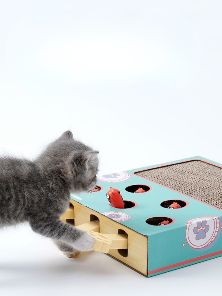 Pop-up hamster cat toy with claw 