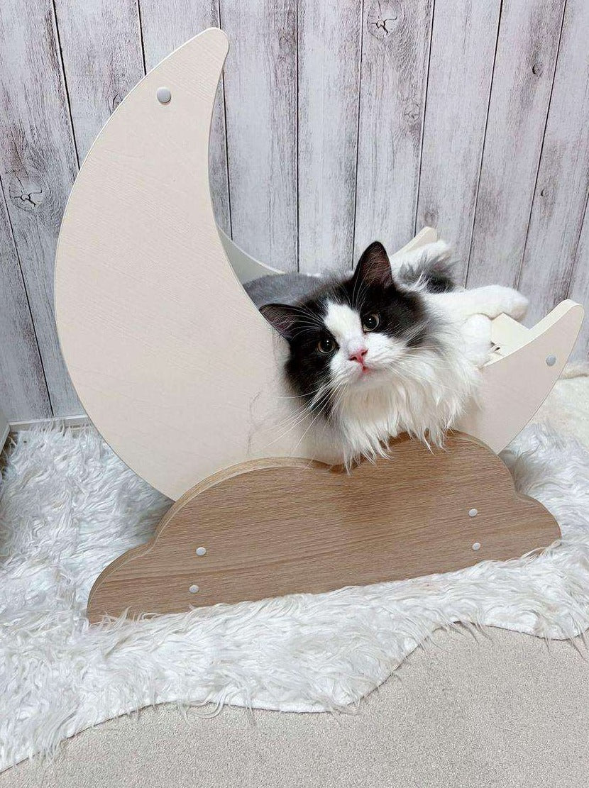 Moon scratching cat bed