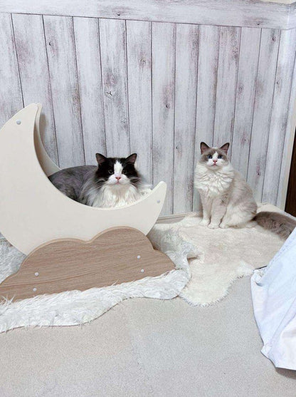 Moon scratching cat bed